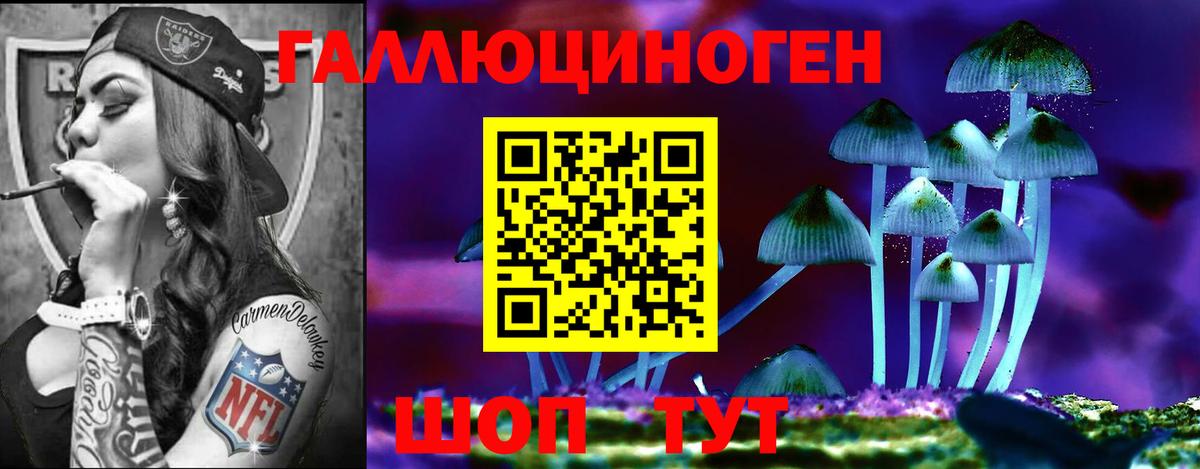 где найти   Псилоцибиновые грибы Psilocybine cubensis  Вход с VPN  Дятьково 